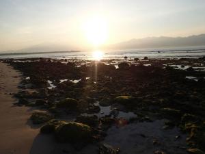 1998_10151381400075266_1015033732_n