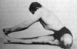 BKS Iyengar from Light on Yoga